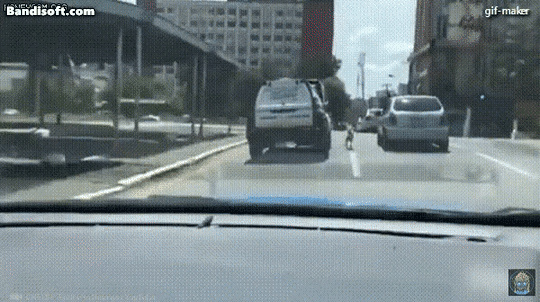 daed15be1eed0a905b21e639c5ae1c33_1706587347_8293.gif