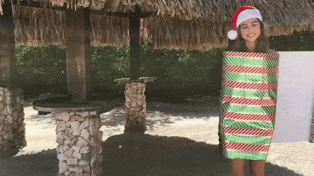 96a6bf2eabb310ddca977d6aa7222f52_1708065496_0819.gif